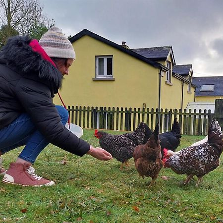 Felicity Cottage Kiltegan Zewnętrze zdjęcie