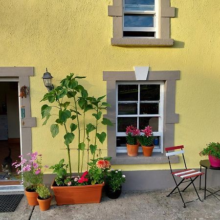 Felicity Cottage Kiltegan Zewnętrze zdjęcie