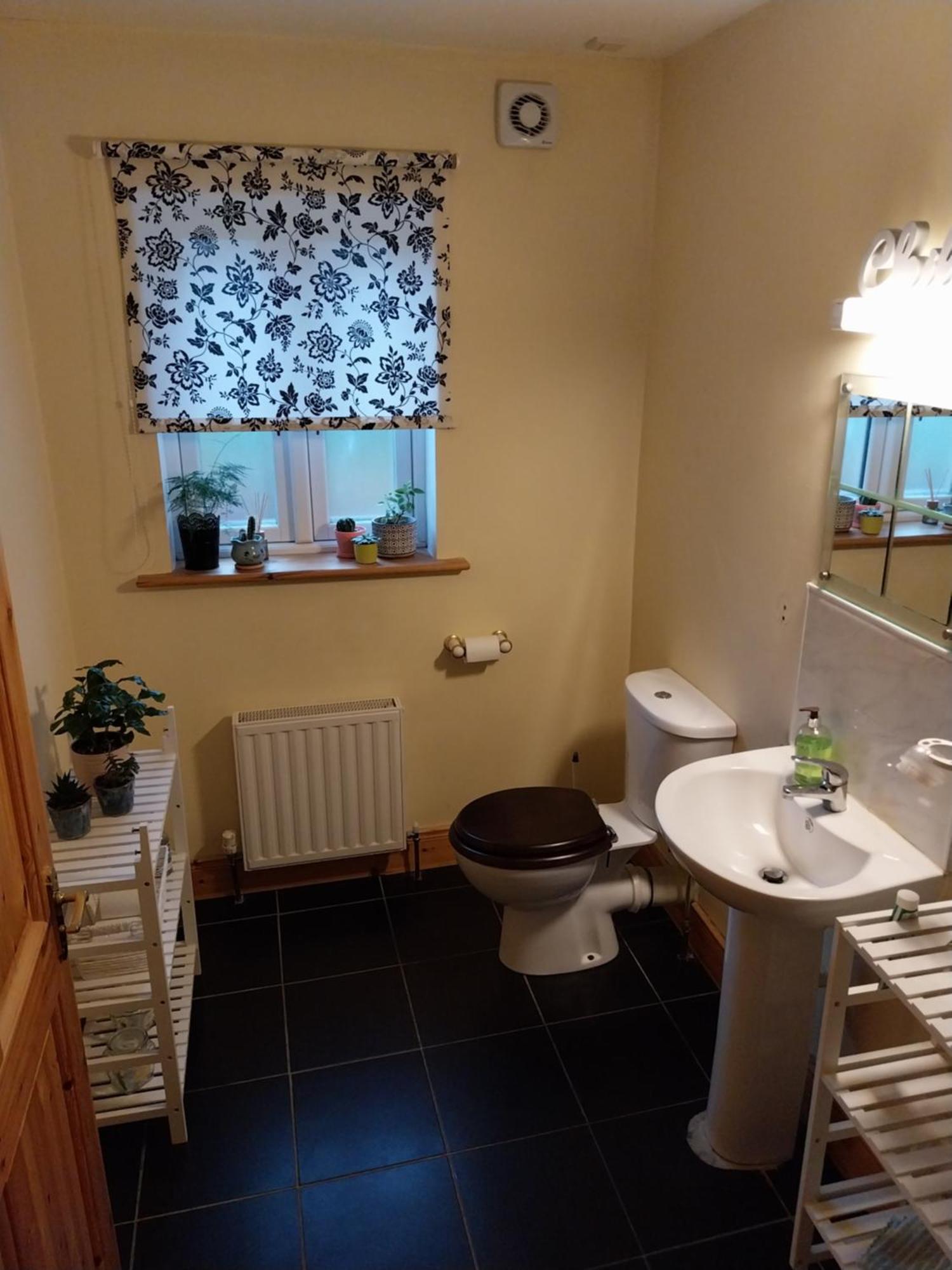 Felicity Cottage Kiltegan Zewnętrze zdjęcie