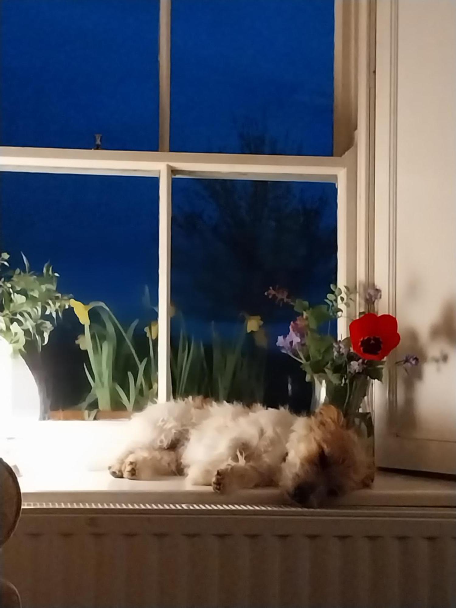 Felicity Cottage Kiltegan Zewnętrze zdjęcie