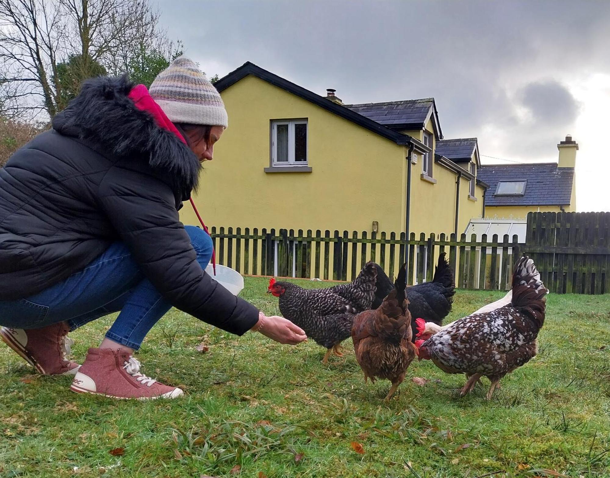 Felicity Cottage Kiltegan Zewnętrze zdjęcie